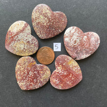 Load image into Gallery viewer, Family of 5 Red Ocean Jasper
