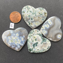 Load image into Gallery viewer, Fancy Moss Agate (Limited Run)
