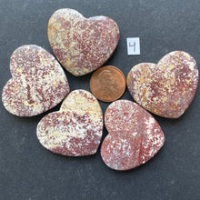 Load image into Gallery viewer, Family of 5 Red Ocean Jasper
