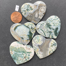 Load image into Gallery viewer, Fancy Moss Agate (Limited Run)
