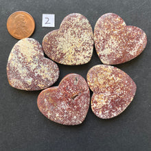 Load image into Gallery viewer, Family of 5 Red Ocean Jasper
