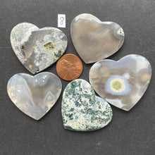 Load image into Gallery viewer, Fancy Moss Agate (Limited Run)
