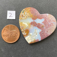 Load image into Gallery viewer, Fancy Ocean Jasper
