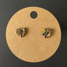 Load image into Gallery viewer, Crazy Lace Agate Earrings
