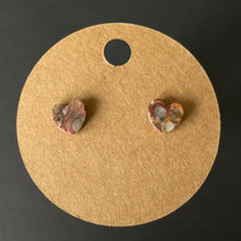 Load image into Gallery viewer, Crazy Lace Agate Earrings
