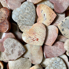 Load image into Gallery viewer, Fossilized Coral Heart Rocks
