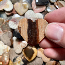 Load image into Gallery viewer, Wood, I mean Petrified Wood Heart Rocks
