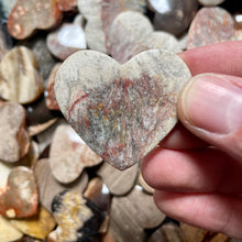 Load image into Gallery viewer, Wood, I mean Petrified Wood Heart Rocks
